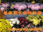 ֹ,󷨵ӹףʦ(33)
