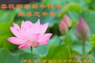 ֹ,󷨵ӹףʦ(33)
