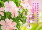 法轮功,重庆大法弟子恭祝师尊过年好(21条)