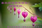 ֹ,󷨵ӹףʦ(33)
