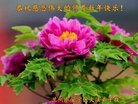 ֹ,󷨵ӹףʦ(21)
