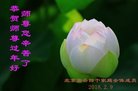 ֹ,󷨵ӹףʦ(22)
