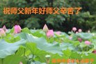 ֹ,ϴ󷨵ӹףʦ(25)