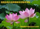 法轮功,河南大法弟子恭祝师尊过年好(25条)