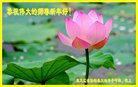 ֹ,󷨵ӹףʦ(20)