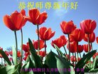ֹ,Ϋ󷨵ӹףʦ(23)