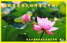 ֹ,󷨵ӹףʦ(28)