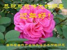 ֹ,д󷨵ӹףʦ(22)