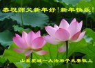 法轮功,山东大法弟子恭祝师尊过年好(23条)