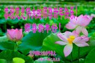 ֹ,д󷨵ӹףʦ(24)