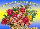 ֹ,ӱ󷨵ӹףʦ(24)