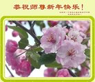 ֹ,󷨵ӹףʦ(23)