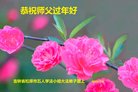 ֹ,ʡ󷨵ӹףʦ(27)