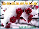 ֹ,󷨵ӹףʦ(24)