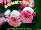 ֹ,󷨵ӹףʦ(24)