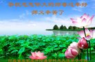 法轮功,石家庄大法弟子恭祝师尊过年好(30条)
