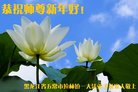 ֹ,󷨵ӹףʦ(24)