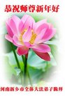 法轮功,河南大法弟子恭祝师尊过年好(26条)