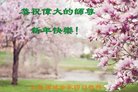 ֹ,Ϋ󷨵ӹףʦ(23)