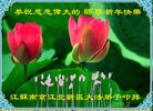 ֹ,մ󷨵ӹףʦ(22)