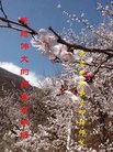 ֹ,󷨵ӹףʦ(24)