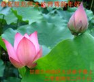 ֹ,󷨵ӹףʦ(21)