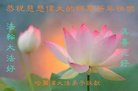 ֹ,󷨵ӹףʦ(24)