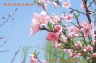 ֹ,Ϋ󷨵ӹףʦ(23)