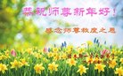 法轮功,佳木斯大法弟子恭祝师尊过年好(25条)