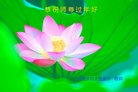 法轮功,河南大法弟子恭祝师尊过年好(26条)