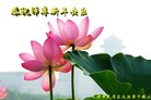 ֹ,󷨵ӹףʦ(27)