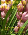 ֹ,󷨵ӹףʦ(24)