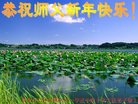 ֹ,󷨵ӹףʦ(22)