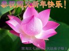 法轮功,黑龙江大法弟子恭祝师尊过年好(22条)