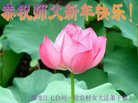 ֹ,󷨵ӹףʦ(20)