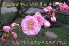 ֹ,󷨵ӹףʦ(24)