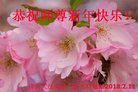 ֹ,ϴ󷨵ӹףʦ(23)