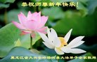 ֹ,󷨵ӹףʦ(20)