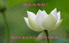 法轮功,大庆大法弟子恭祝师尊过年好(20条)