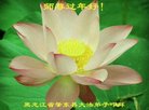 ֹ,󷨵ӹףʦ(20)