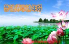 ֹ,󷨵ӹףʦ(22)