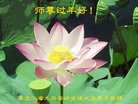 ֹ,󷨵ӹףʦ(20)