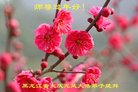 ֹ,󷨵ӹףʦ(20)