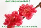 ֹ,󷨵ӹףʦ(24)