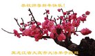 法轮功,大庆大法弟子恭祝师尊过年好(20条)