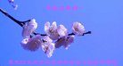 ֹ,󷨵ӹףʦ(20)