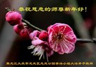 ֹ,󷨵ӹףʦ(20)