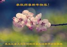 法轮功,黑龙江大法弟子恭祝师尊过年好(20条)