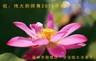 ֹ,󷨵ӹףʦ(19)