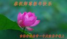 ֹ,ʡ󷨵ӹףʦ(27)